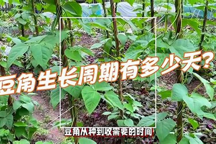 哪种补钙产品效果好