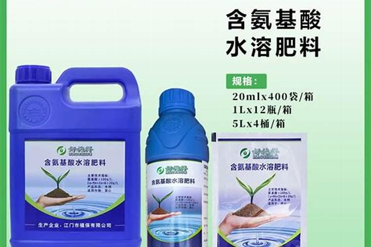 甜菜高效种植技术要点 甜菜养护应该注意什么