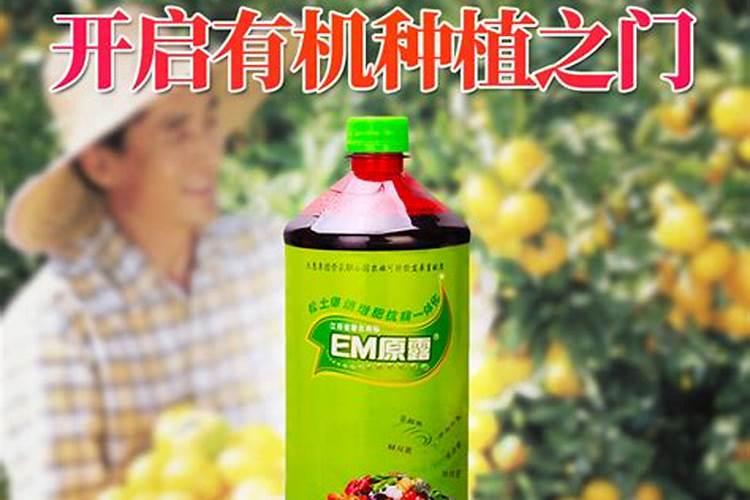 氢氧化钾和碳酸 反应的方程式和离子方程式