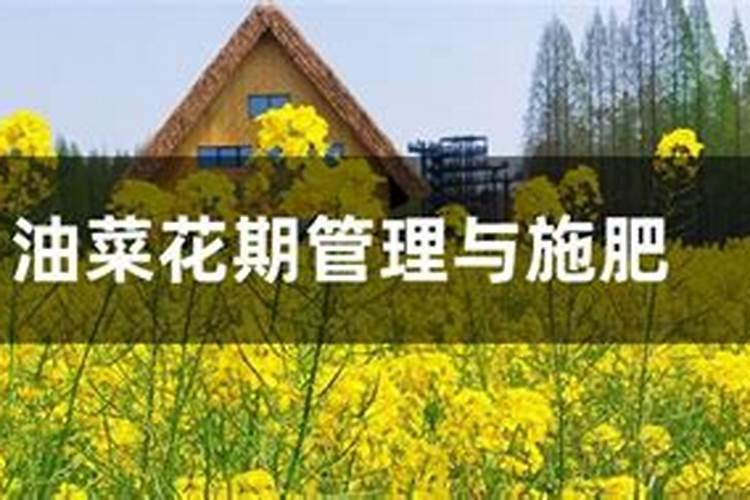 水溶肥啥时候用比较好