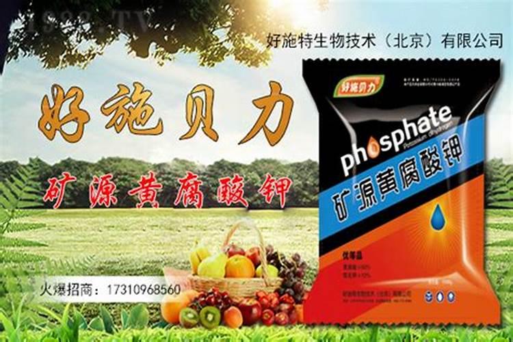 恶草酸在芹菜幼苗期能用吗？