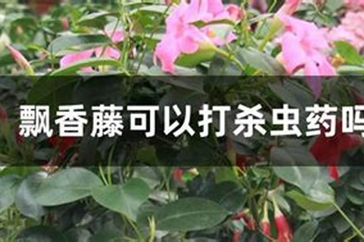 最好的磷肥第一名