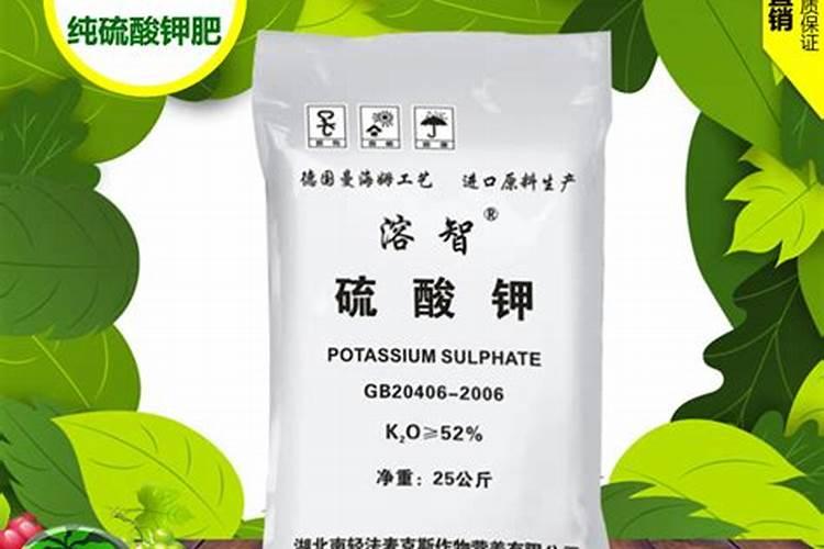 小麦防倒伏研究3:增施钾肥、喷施蓝色晶典与小麦防倒伏增产