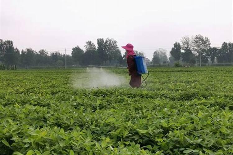 草木灰和铵态氮肥反应方程式