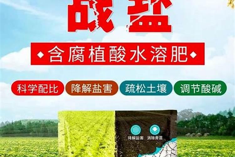 磷肥可以杀青苔吗