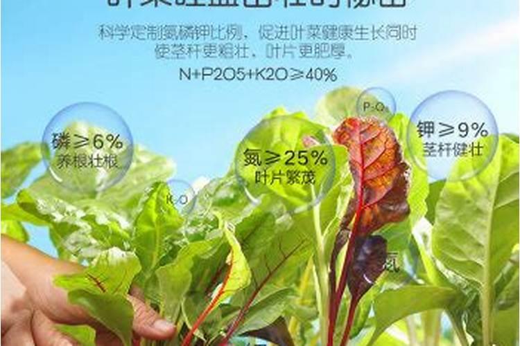 种菜什么复合肥好