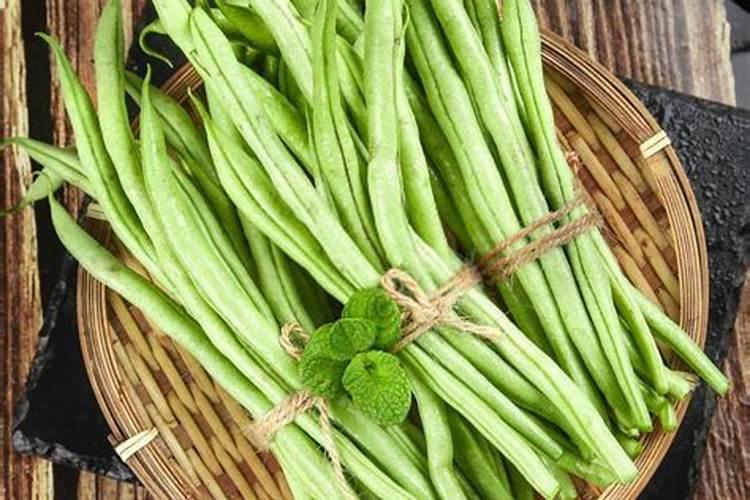豆角怎样种植才能高产,间距多少合适