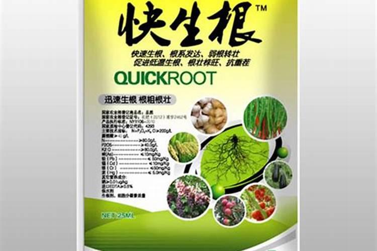 温度过高对果树的危害是什么？