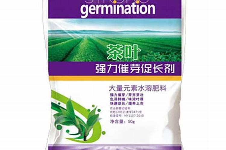 一颗果树用多少红糖和白醋泡