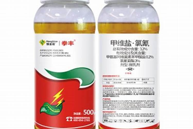 茶花施什么肥料最好最旺