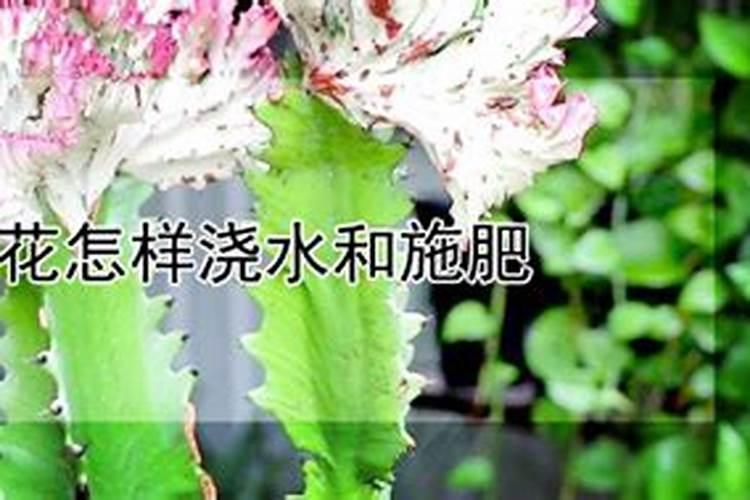 怎么识别真假硫酸钾