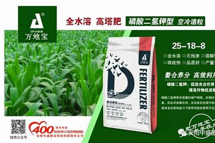 高梁在什么时候打叶面肥促早熟？