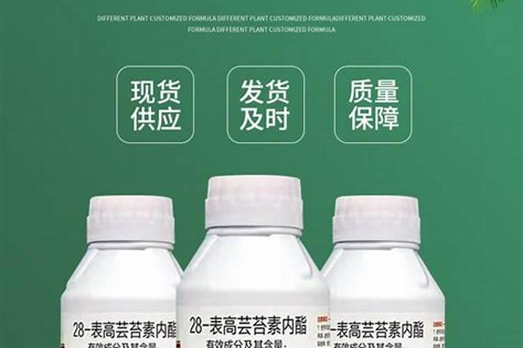 四季豆开花了该用什么肥料