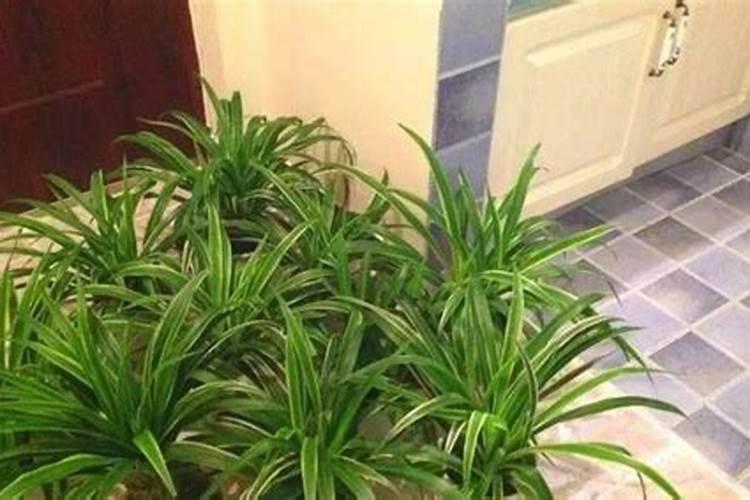 硝酸钾+糖加热会爆炸或起火吗？