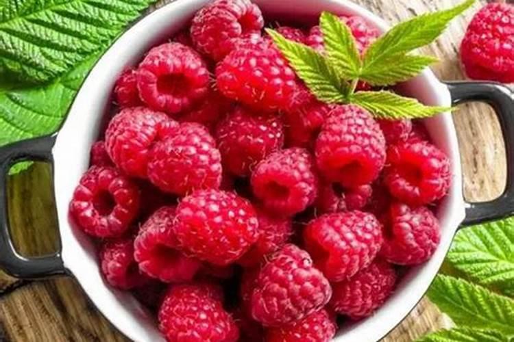 玉米需要什么肥料