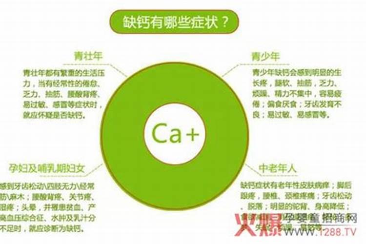 盆栽草莓施肥用什么肥料好