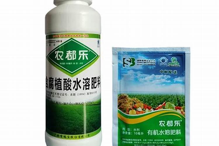 葱怎么种植长势才好