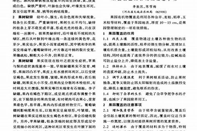 西瓜坐果后用什么肥料