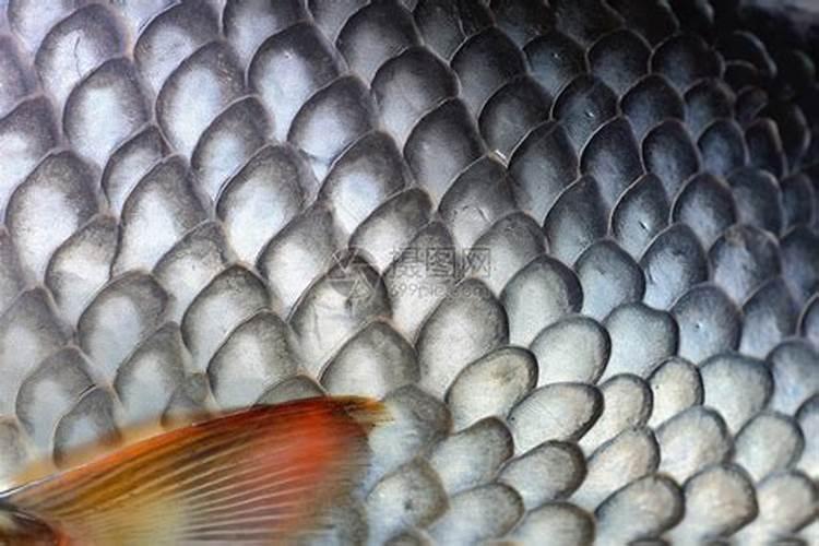 自制氮肥有哪些