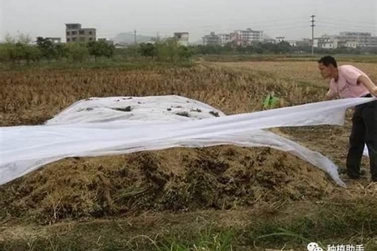 怎样自制家庭养花用的磷肥和钾肥,家庭养花怎样发酵出磷钾肥