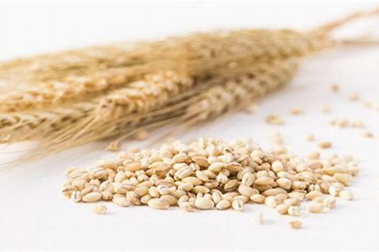 小麦底肥氮磷钾最佳配方