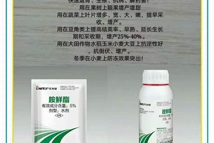 丙酰芸苔素内酯作用特点是什么？