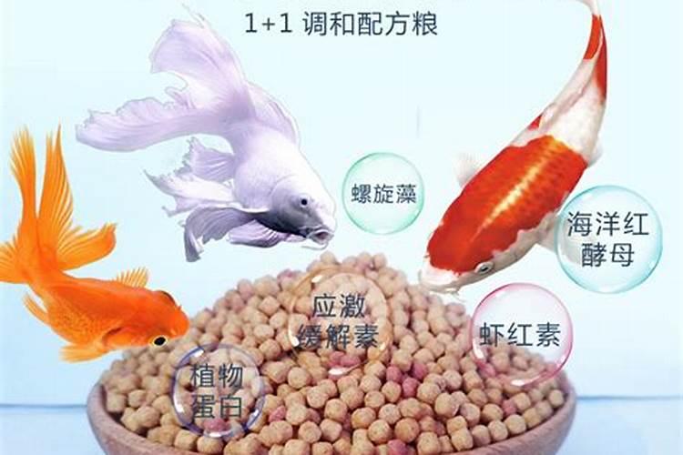 刚移栽的小番茄苗能浇鱼蛋白吗