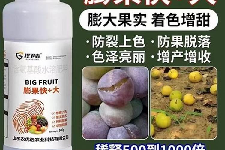 高钾肥有哪些？甜瓜在盛果期冲施高钾肥好不好？