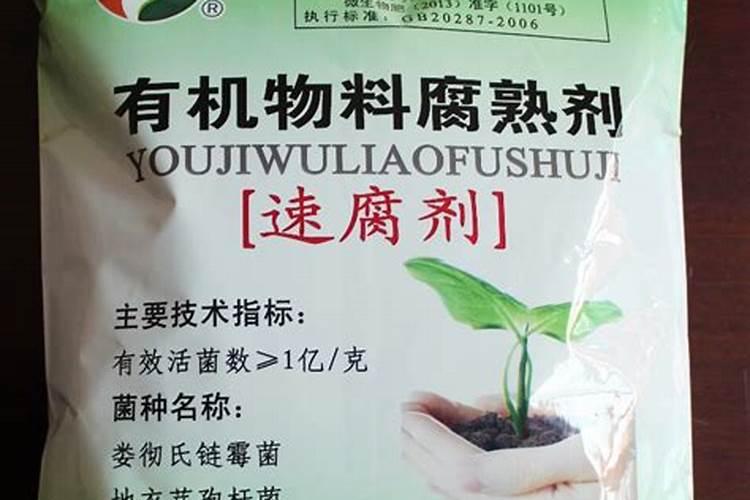 柑子树叶子发黄怎么办