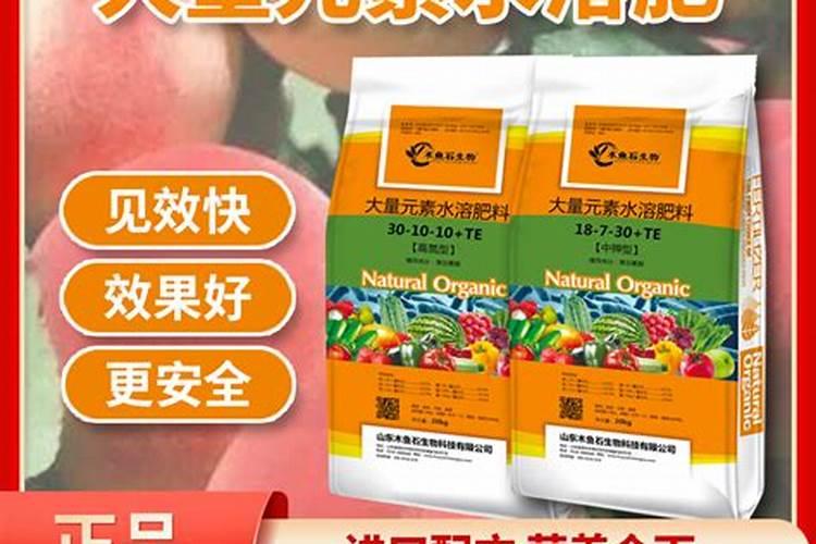 柑橘喷施叶面肥有哪些讲究？