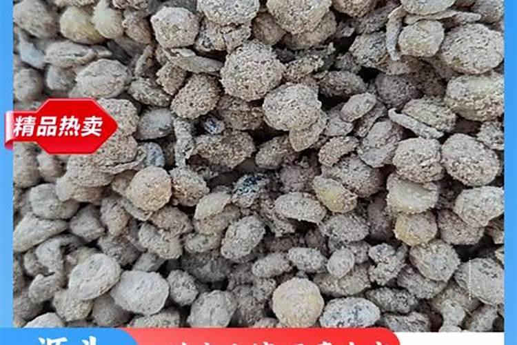 玉米防钻心虫长效药