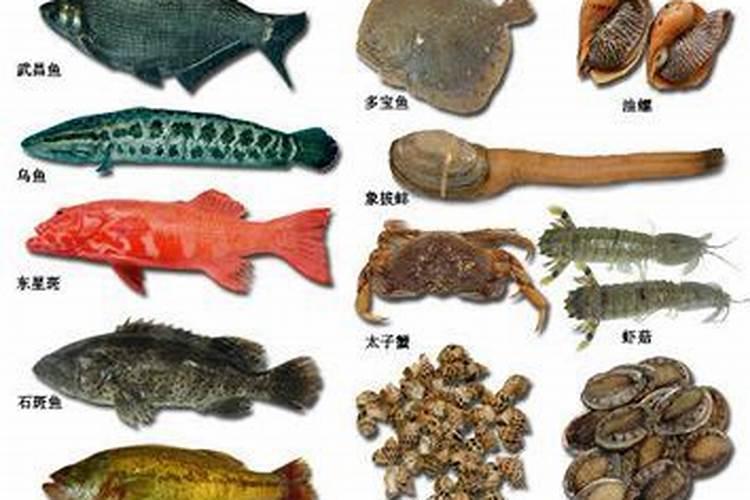 矿源黄腐酸钾的混施禁忌,黄腐酸钾是什么东西