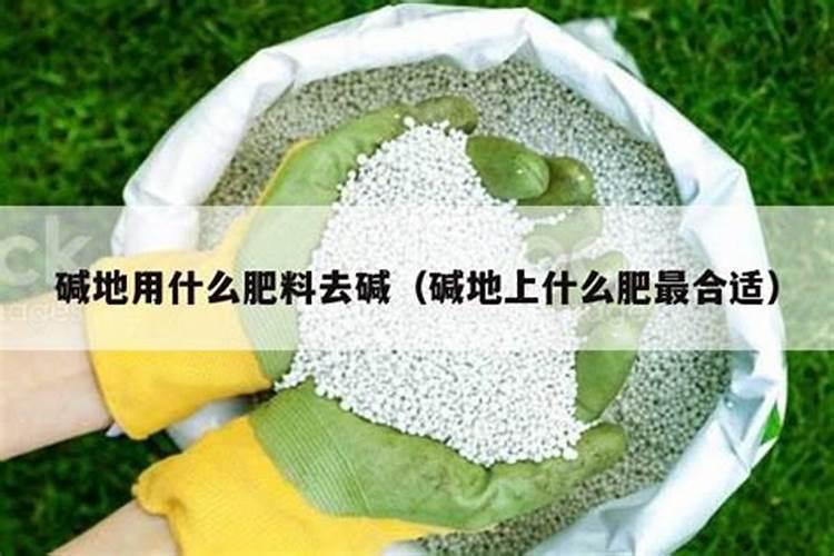 脐橙壮果肥该什么时候施 施肥方法有哪些