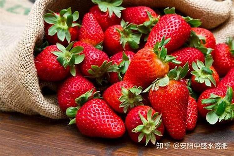 钙肥的作用及施用方法