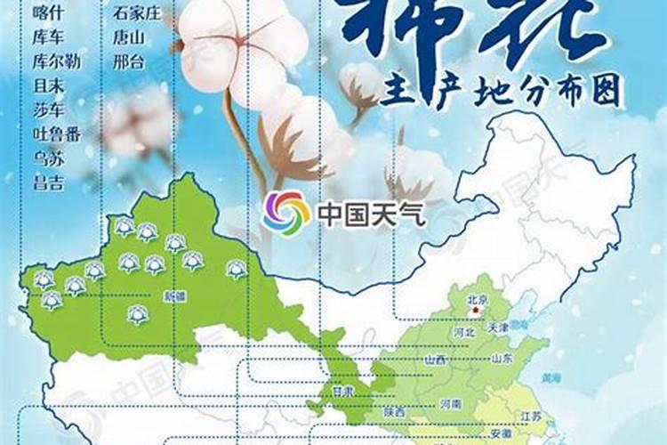 关于三农龙头股都有哪些呢？