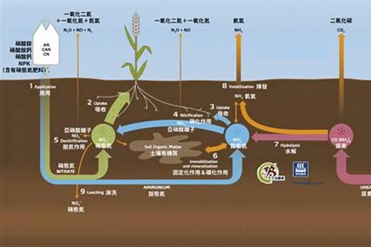 尿素叶面施肥浓度多少合适(掌握尿素施叶面肥配比浓度)