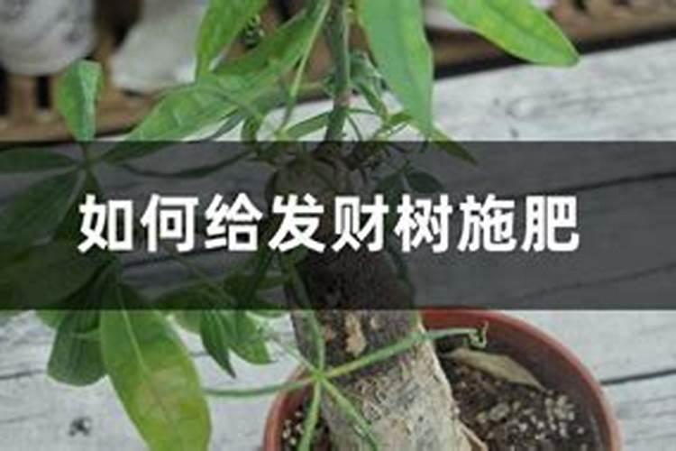 钾肥有哪些种类 钾肥的功效和使用方法