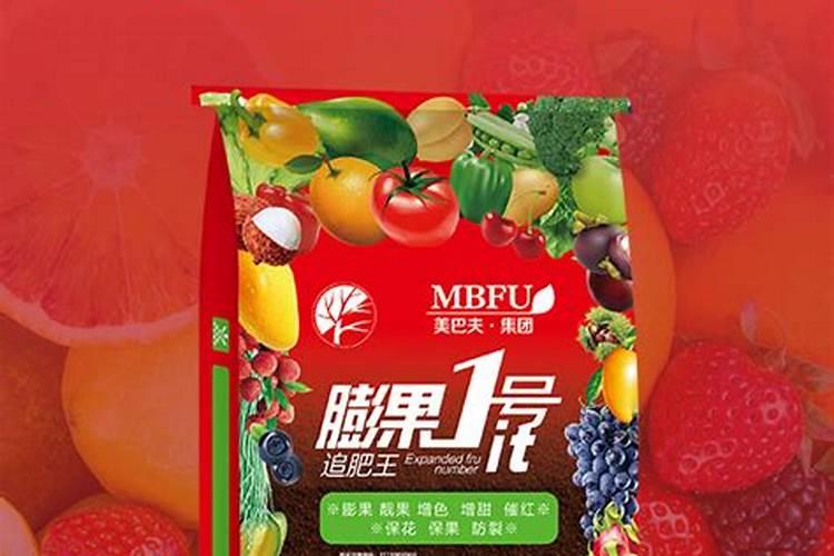 栀子花怎样过冬 栀子花养护需要注意哪些方法
