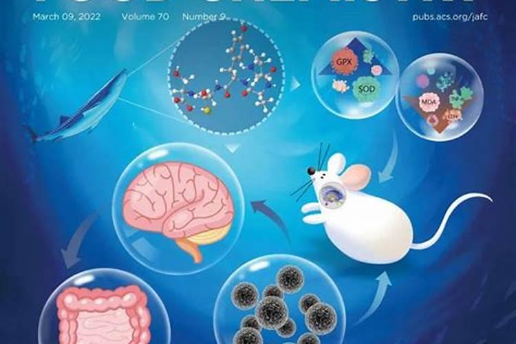 鱼蛋白的制作方法