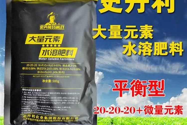 大棚茄子点花喷在哪里最合适？为什么？