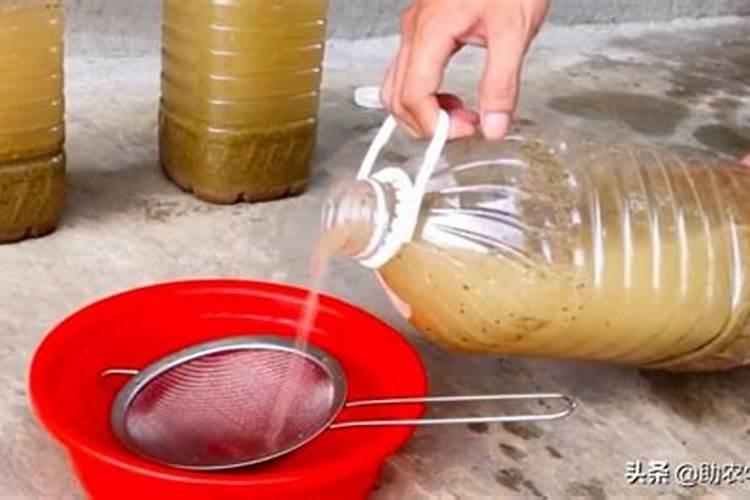 毛豆施叶面肥磷酸二氢钾能加红糖吗？