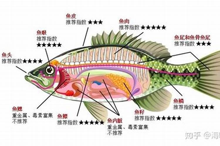 生物中PGA什么意思