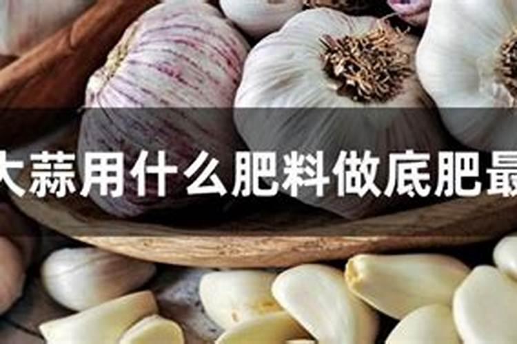 大蒜返青后分两次追肥,应该使用什么肥料？