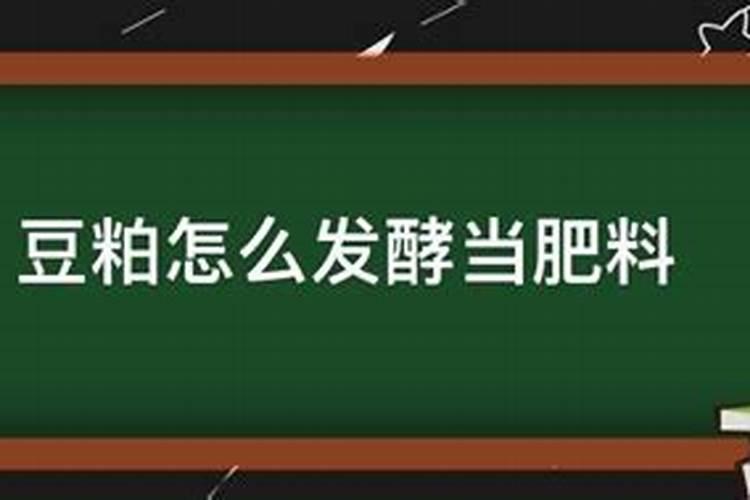 荷兰豆什么时候种植最好种