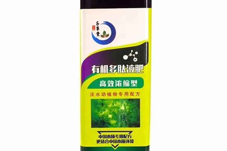 金枝玉叶用什么肥料最好