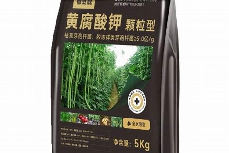 辣椒膨果期用哪种肥料比较好？辣椒喷施昆仑风叶面肥料？