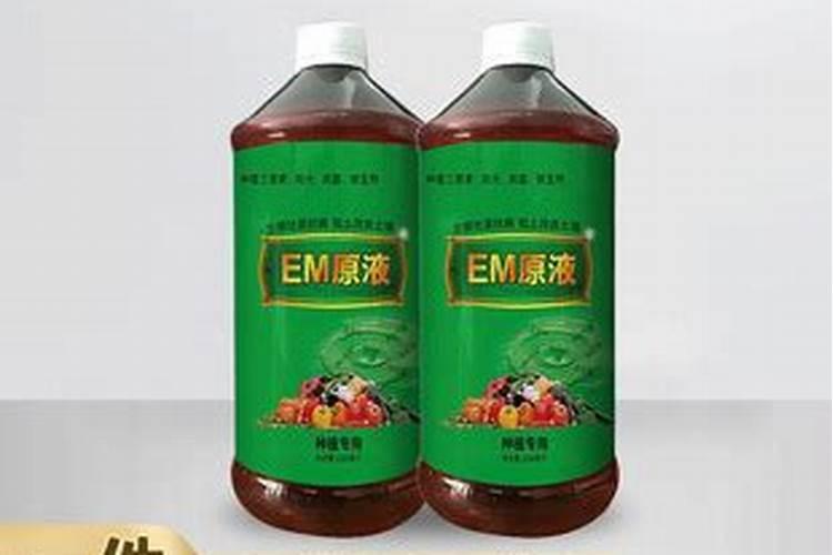 学会沤制三款肥水,以后养花的肥料不用买啦