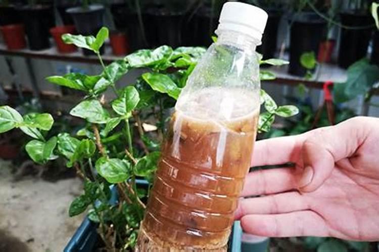 花生麸泡几天可以施肥,怎么制作成水溶肥