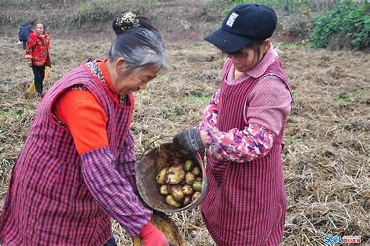 天然的氮磷钾肥有哪些