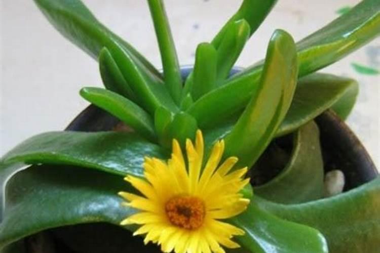 为什么从南到北氮的含量增加